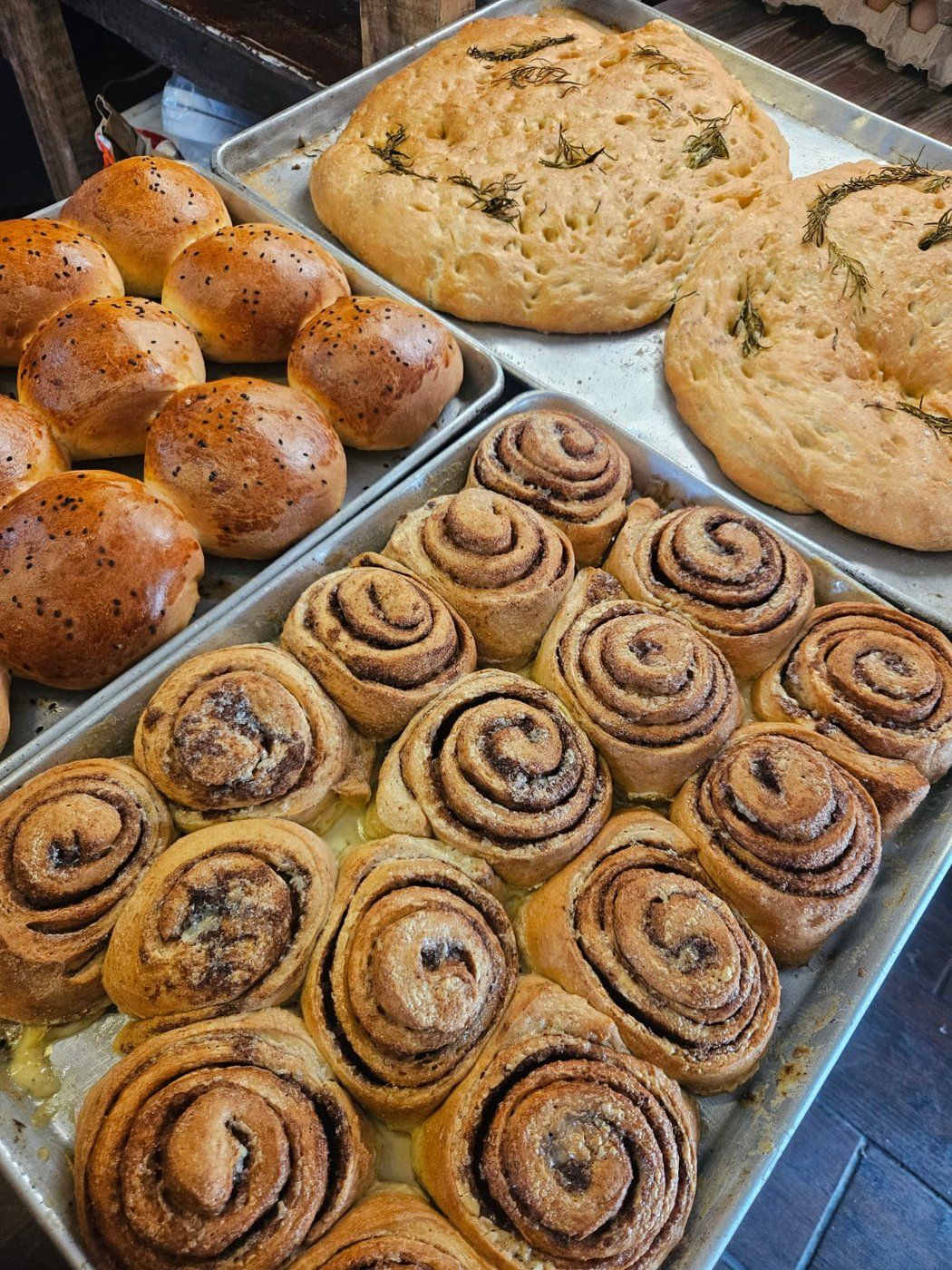 Cinnamon rolls, focaccia & brioche fresh from the oven