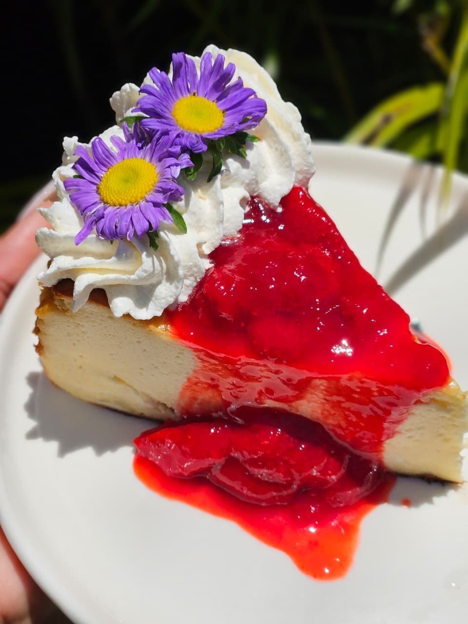 Strawberry cheesecake with edible flowers